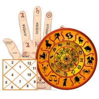 Career Vedic Astrology in Delhi